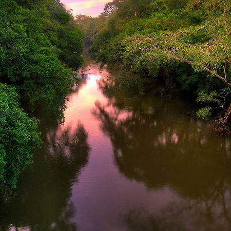 La Selva Biological Station Hotel ซาราปิกี ภายนอก รูปภาพ