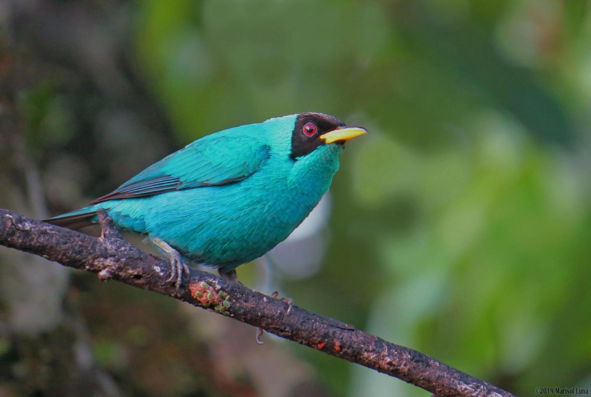 La Selva Biological Station Hotel ซาราปิกี ภายนอก รูปภาพ