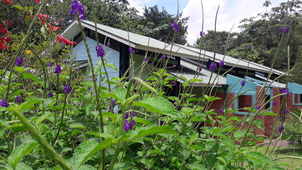 La Selva Biological Station Hotel ซาราปิกี ภายนอก รูปภาพ