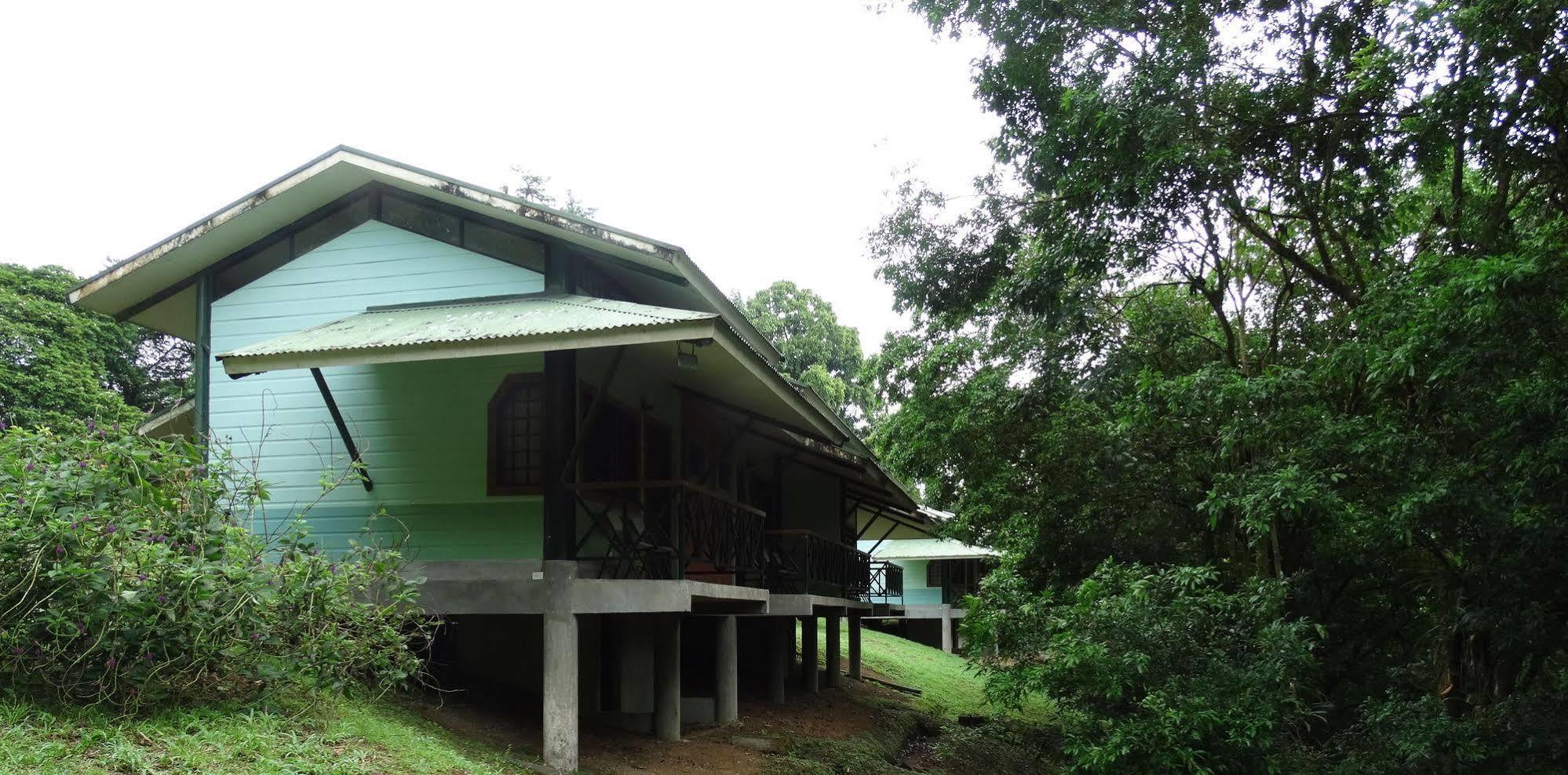 La Selva Biological Station Hotel ซาราปิกี ภายนอก รูปภาพ