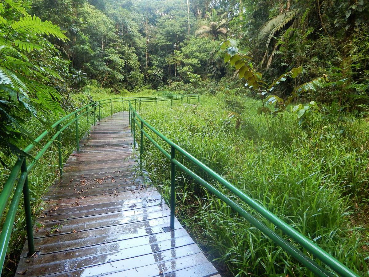 La Selva Biological Station Hotel ซาราปิกี ภายนอก รูปภาพ
