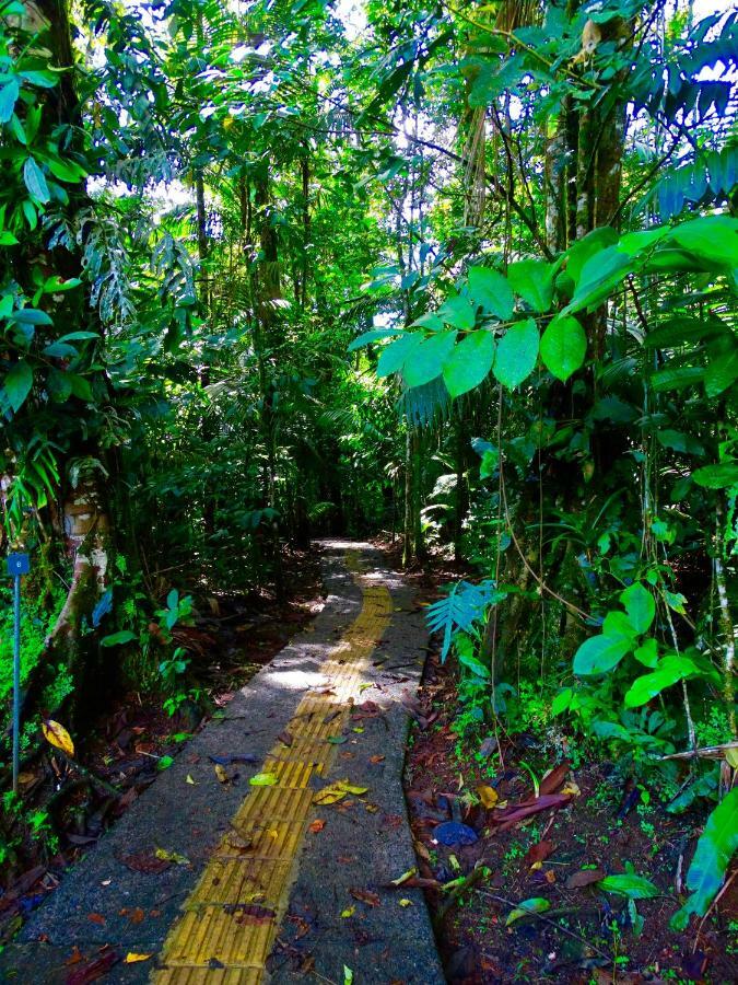 La Selva Biological Station Hotel ซาราปิกี ภายนอก รูปภาพ
