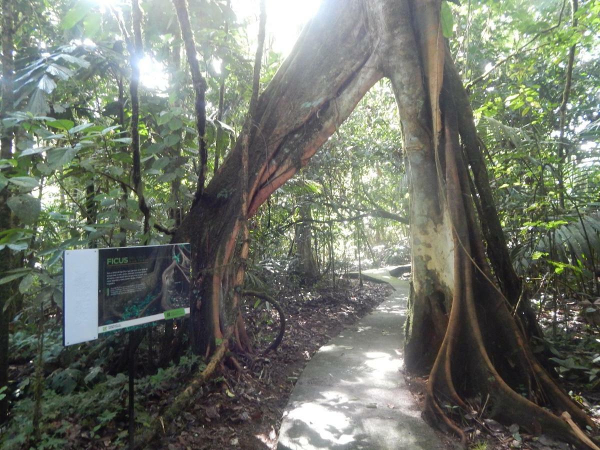 La Selva Biological Station Hotel ซาราปิกี ภายนอก รูปภาพ
