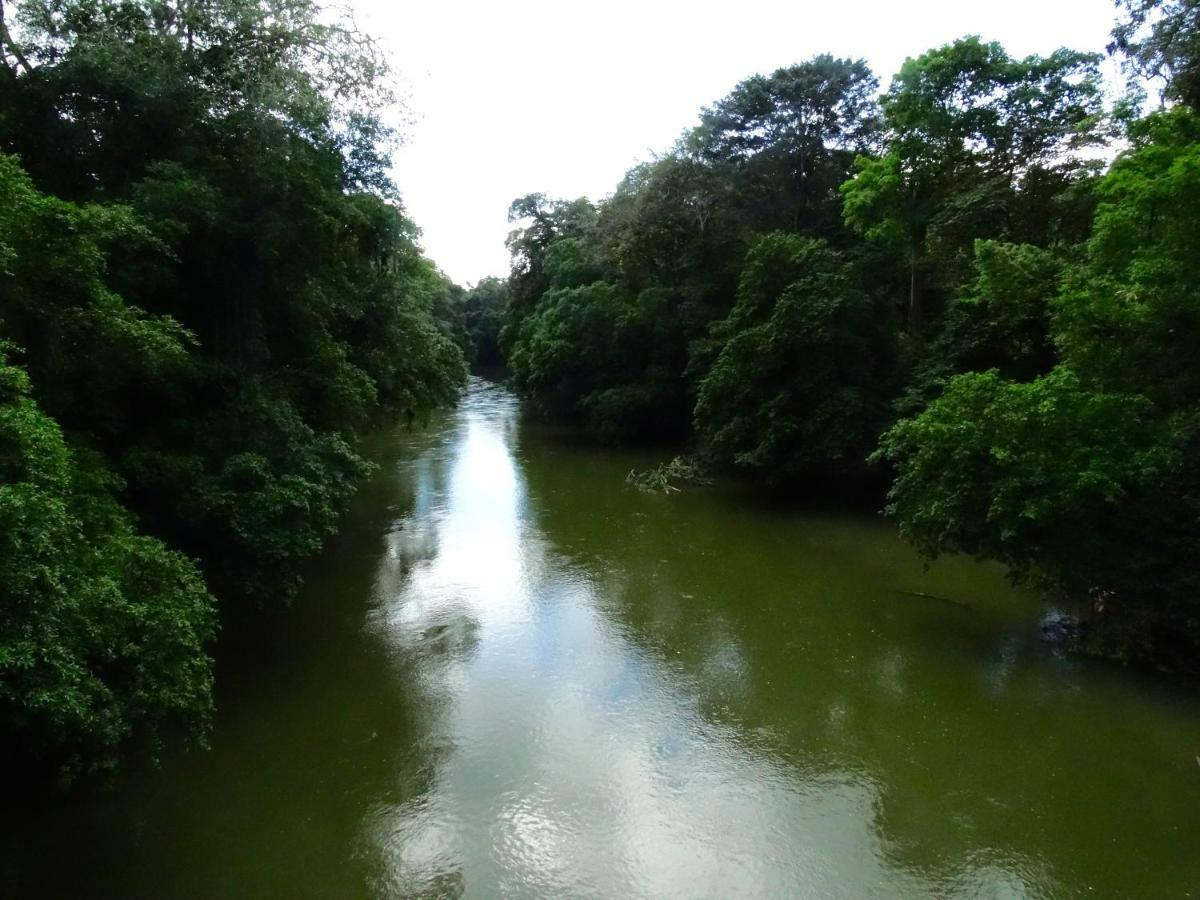 La Selva Biological Station Hotel ซาราปิกี ภายนอก รูปภาพ