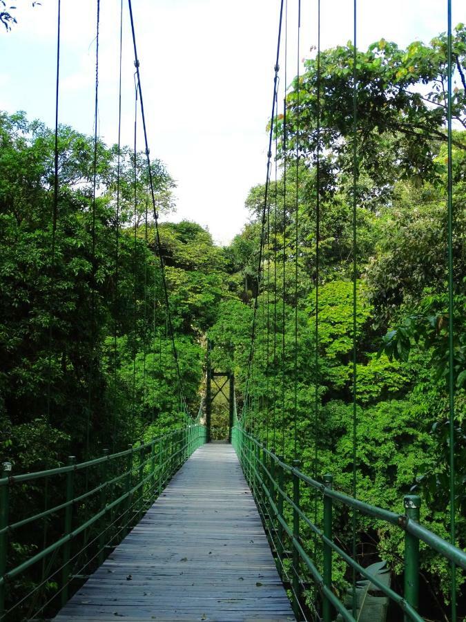 La Selva Biological Station Hotel ซาราปิกี ภายนอก รูปภาพ