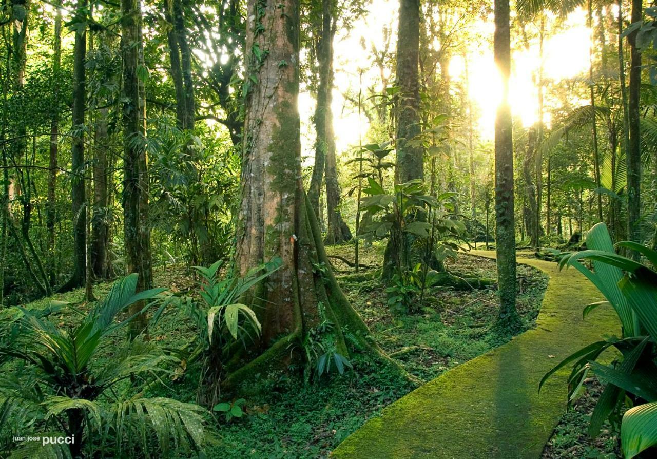 La Selva Biological Station Hotel ซาราปิกี ภายนอก รูปภาพ