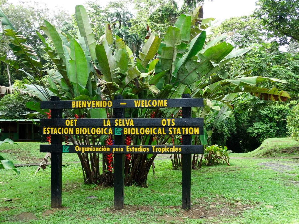 La Selva Biological Station Hotel ซาราปิกี ภายนอก รูปภาพ