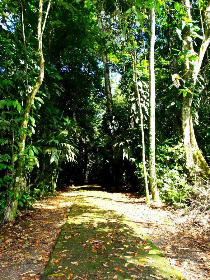 La Selva Biological Station Hotel ซาราปิกี ภายนอก รูปภาพ