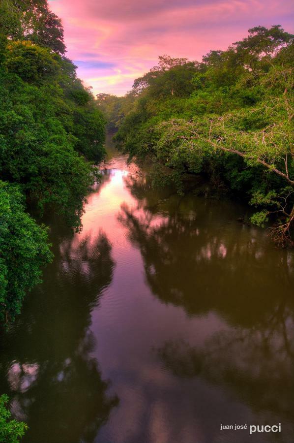La Selva Biological Station Hotel ซาราปิกี ภายนอก รูปภาพ