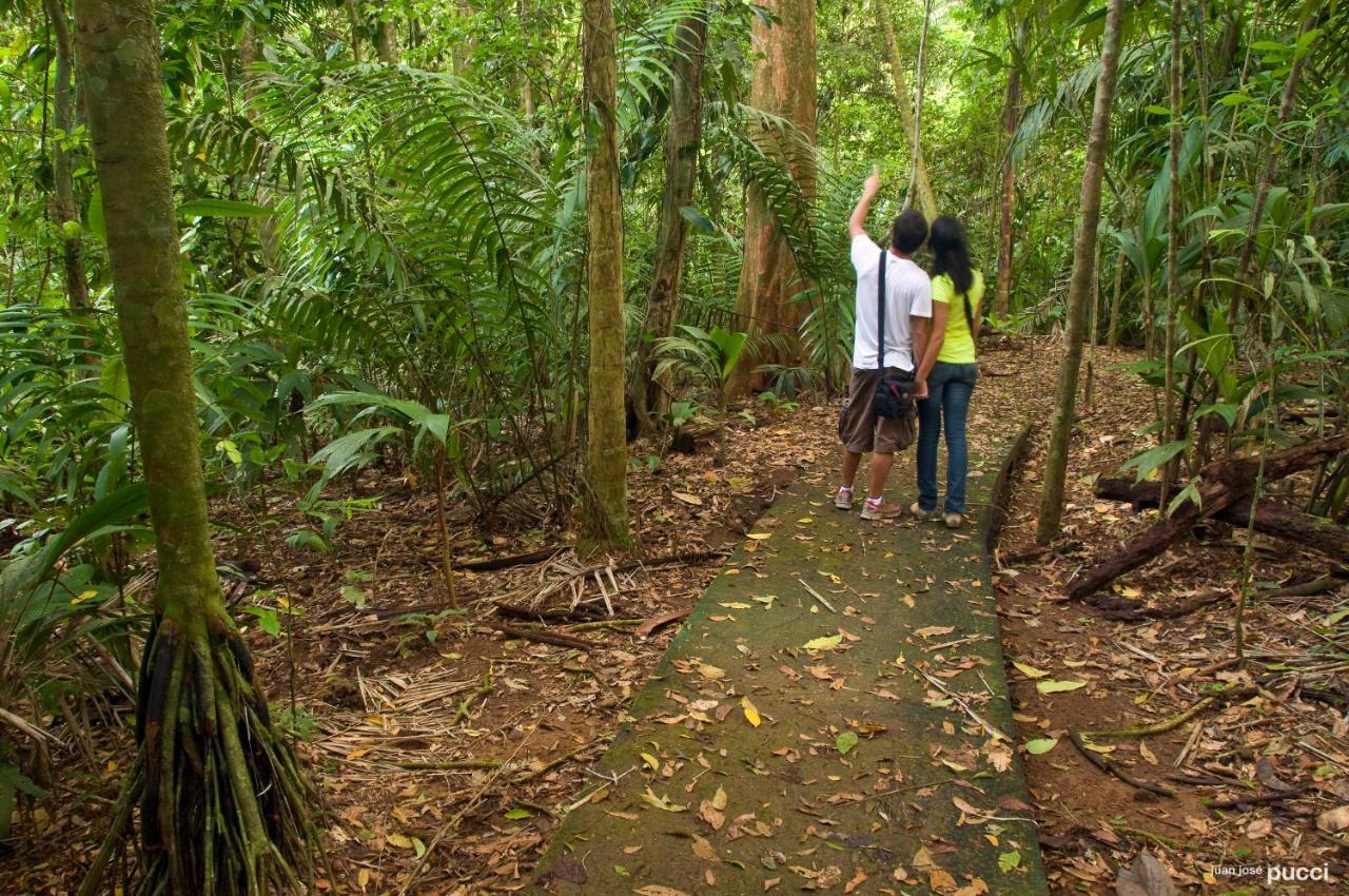 La Selva Biological Station Hotel ซาราปิกี ภายนอก รูปภาพ