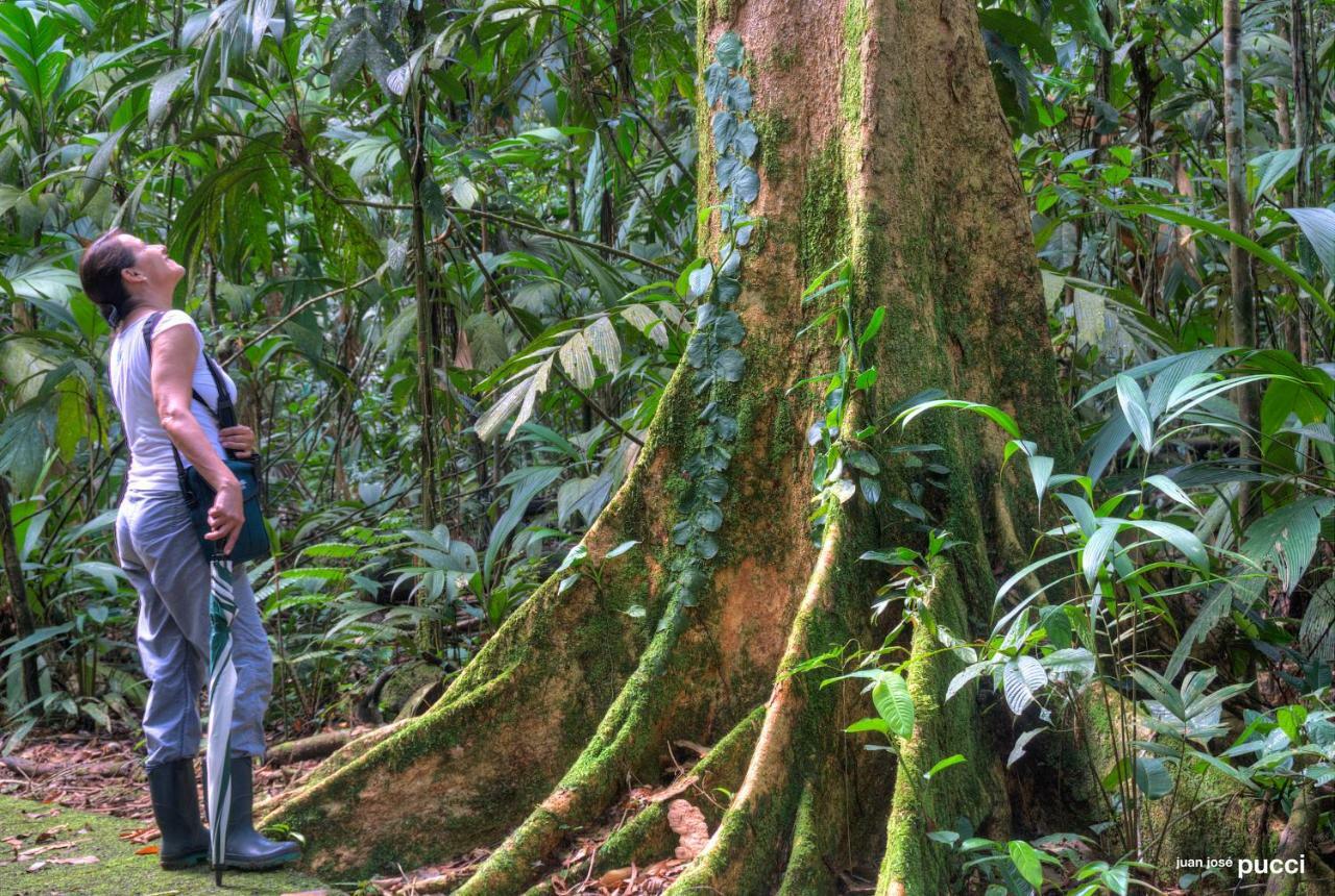 La Selva Biological Station Hotel ซาราปิกี ภายนอก รูปภาพ